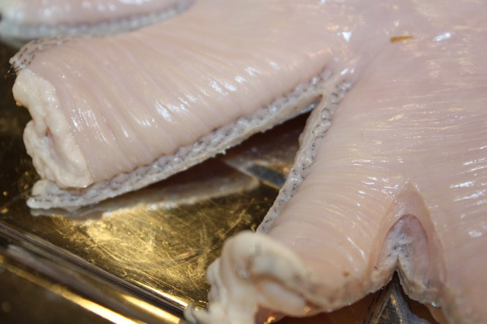 stapler_exhibion_prague_2009__025